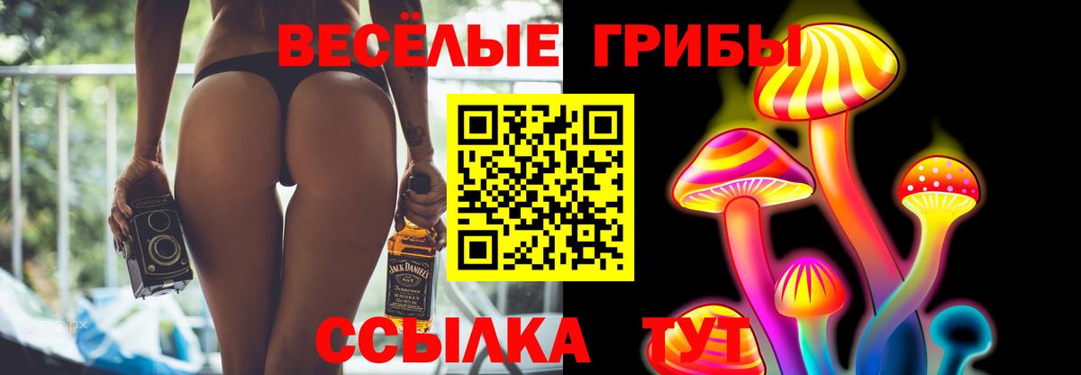 Галлюциногенные грибы Magic Shrooms  хочу наркоту  Грязи  Вход с VPN 